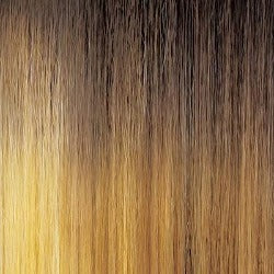 OUTRE NEESHA 201 Lacefront Wig